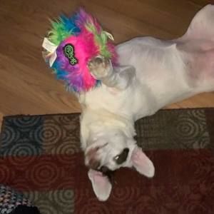 Meet your Posher, Theresa